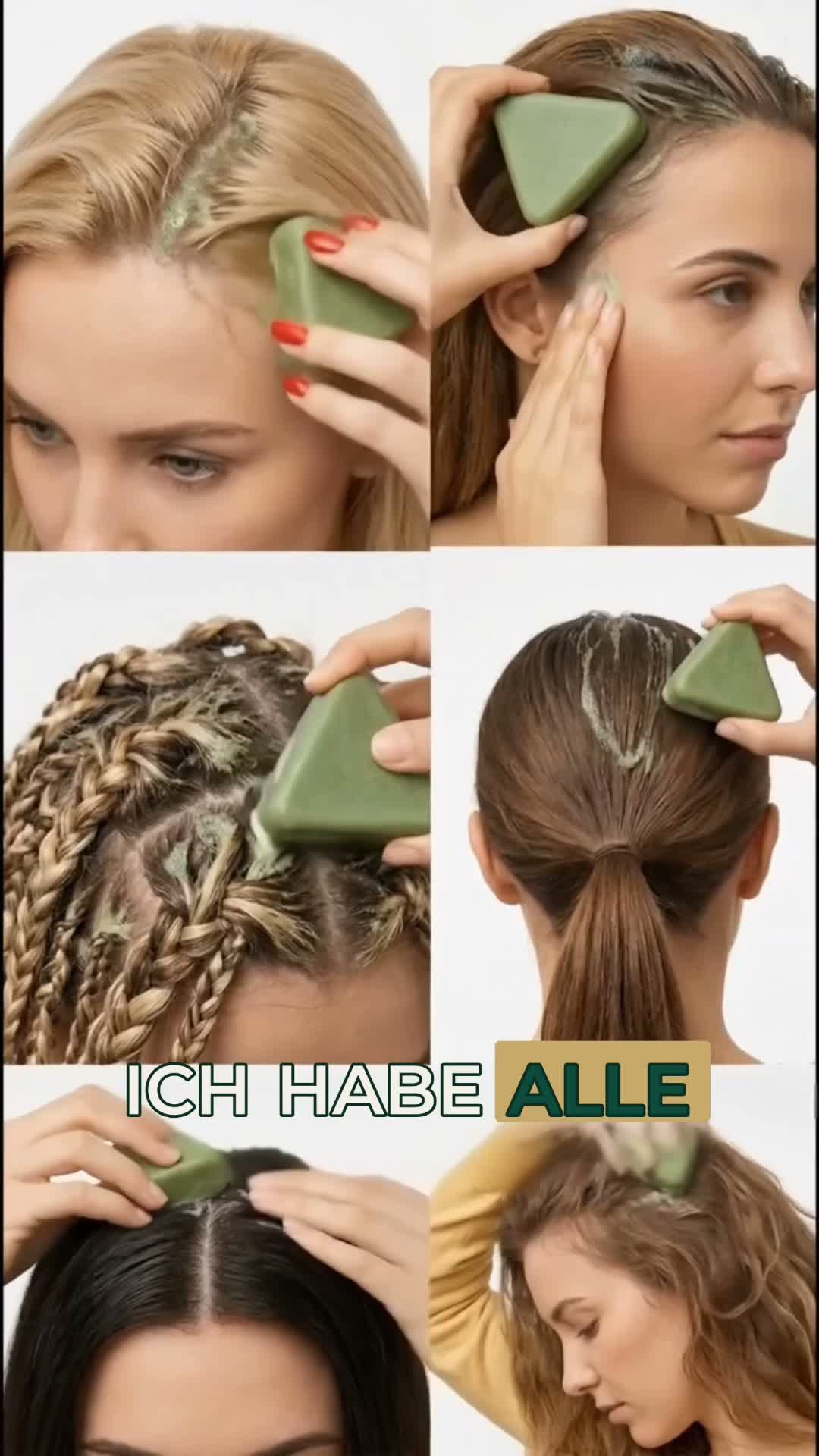 Root Revival entdecken