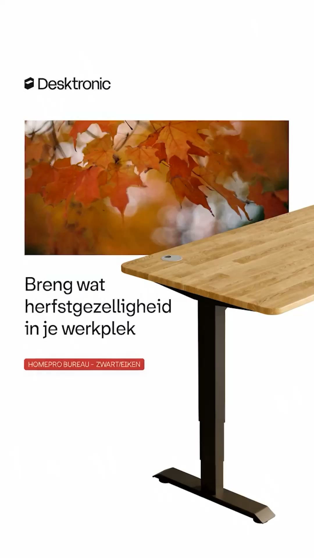 Tijd voor een gezellige herfst