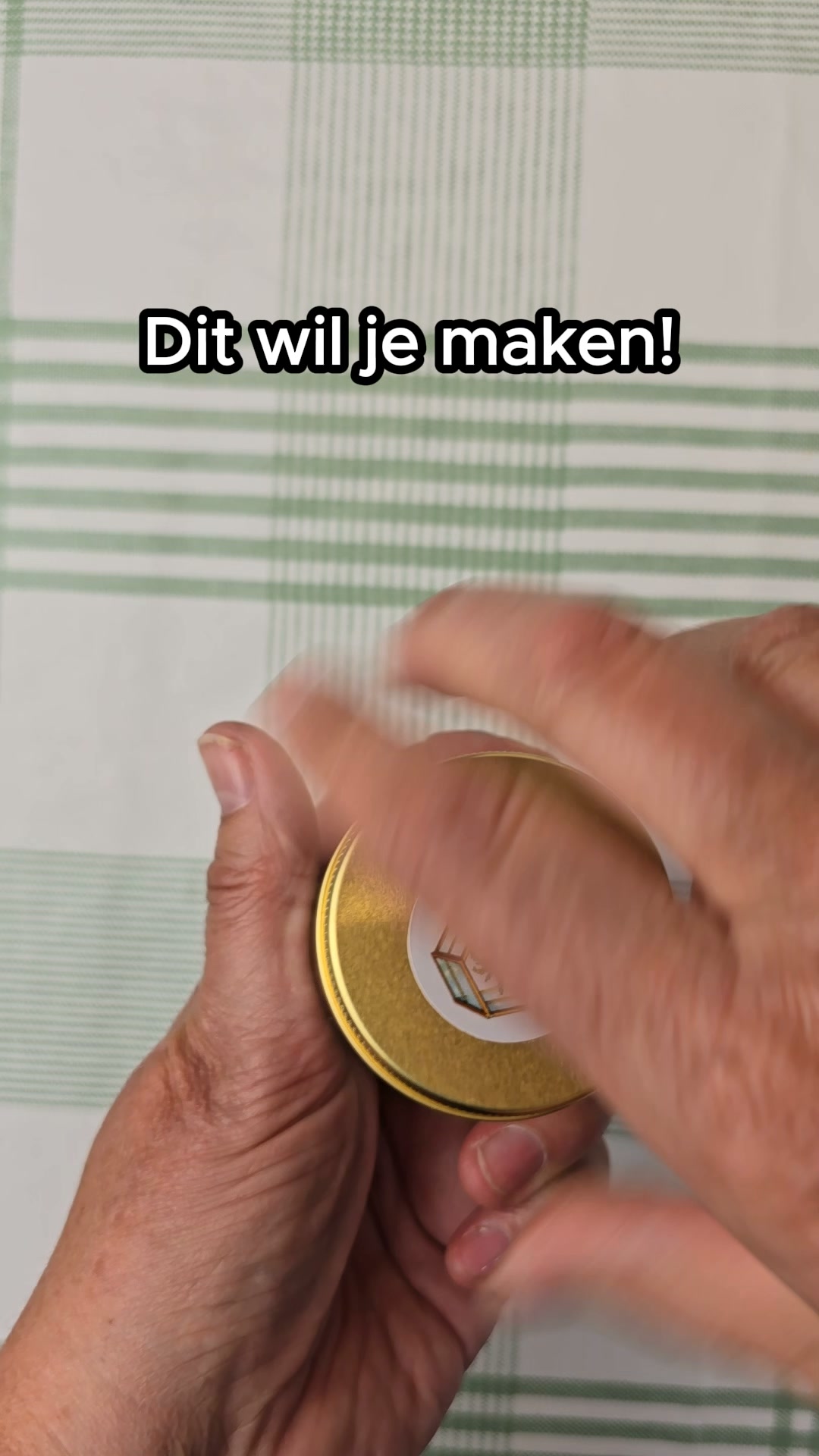 Maak je eigen kralenplant