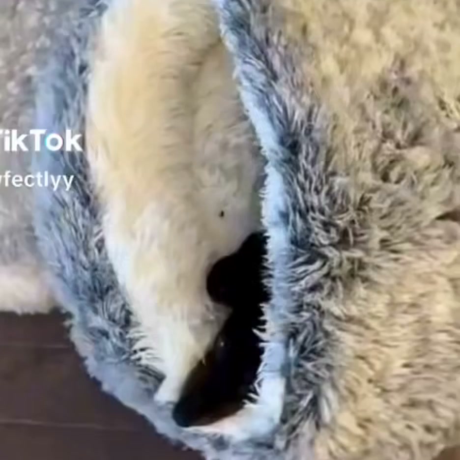 Cozy comfort for better sleep