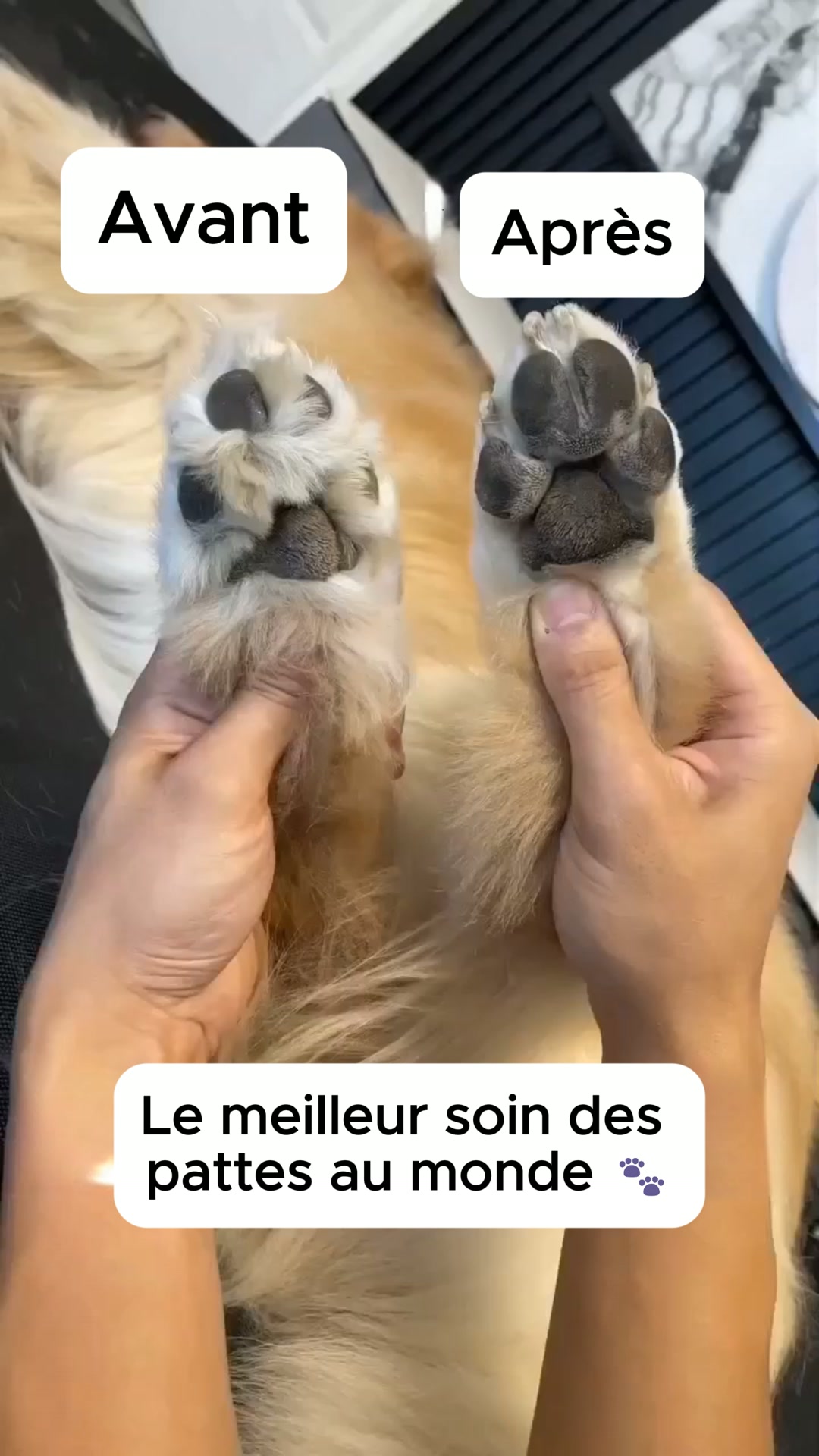 Recommandé par les vétérinaires