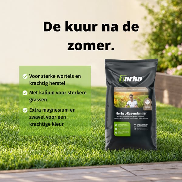 Je gazon redden na de zomer