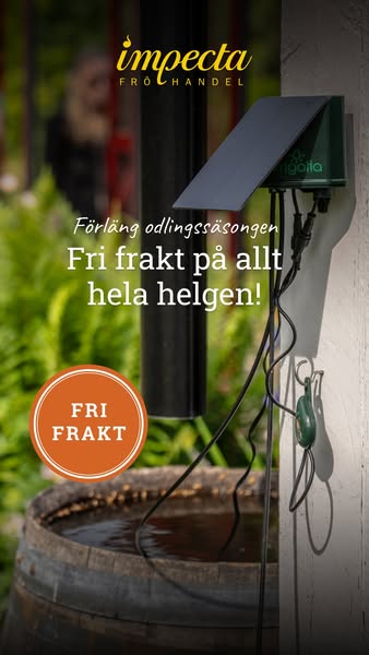 Fri frakt hela helgen