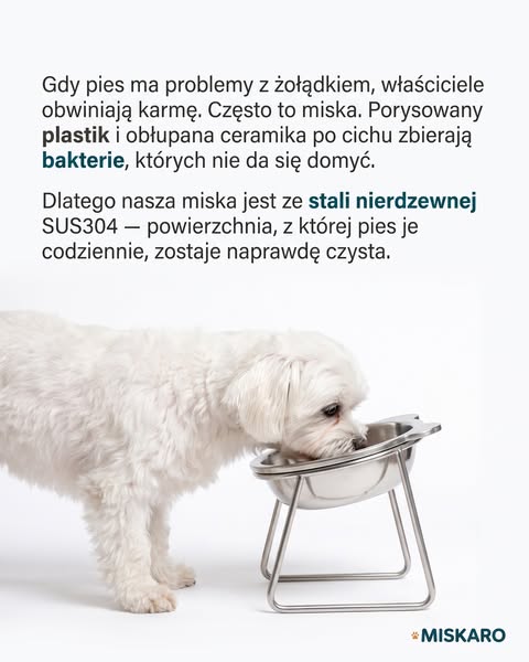 To miska, nie jedzenie.
