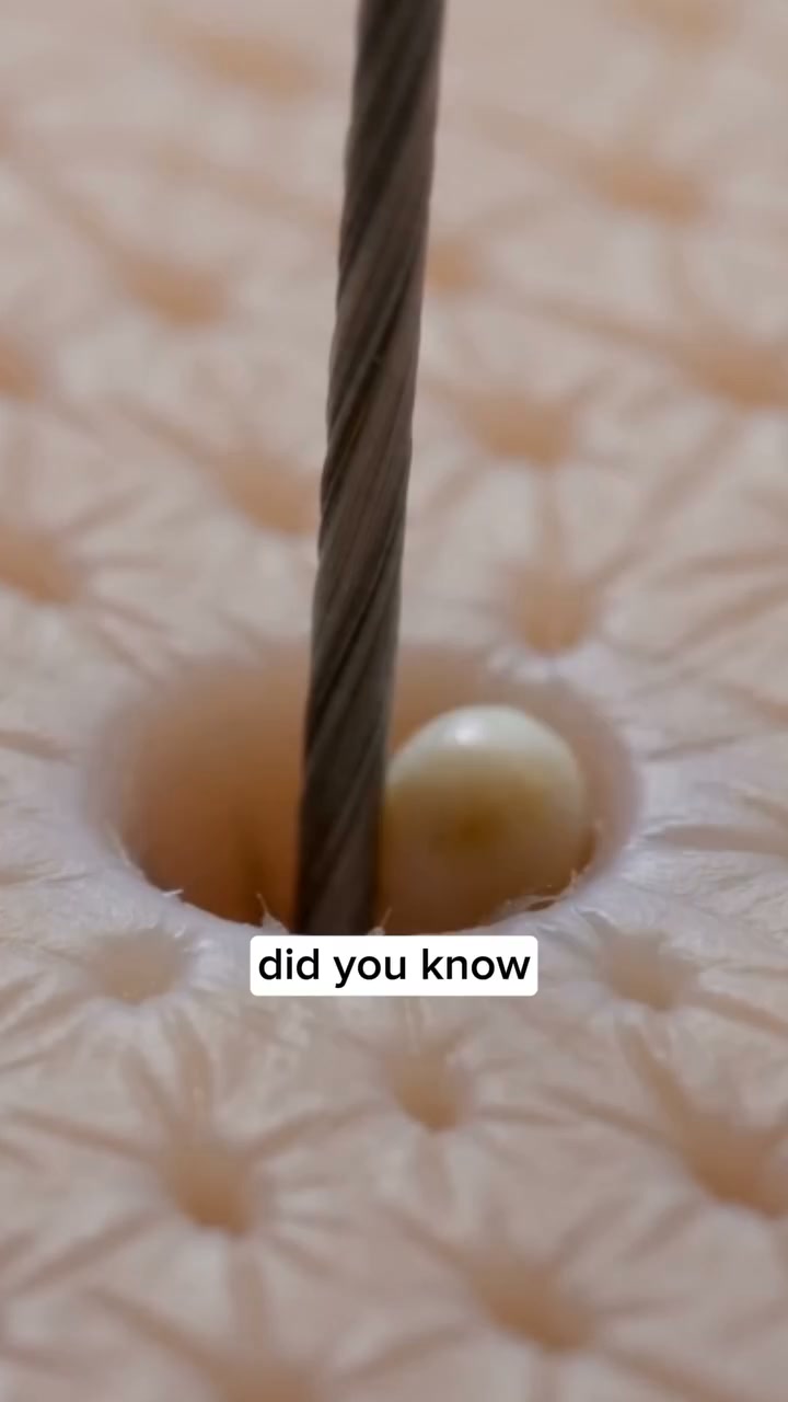 From Flaky to Flawless in Minutes.