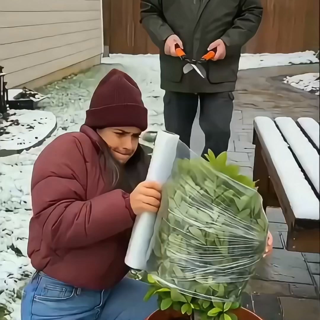 Ademende herbruikbare vorstbeschermhoes voor planten