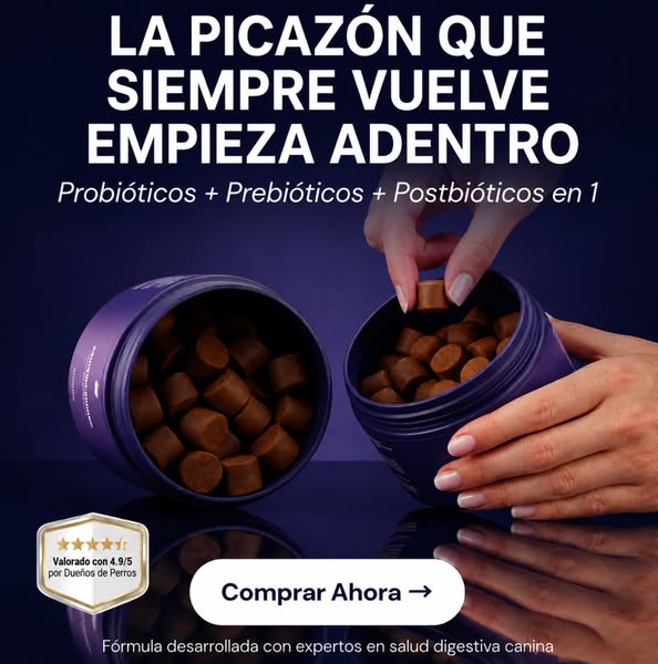 Apoya la digestión de tu perro