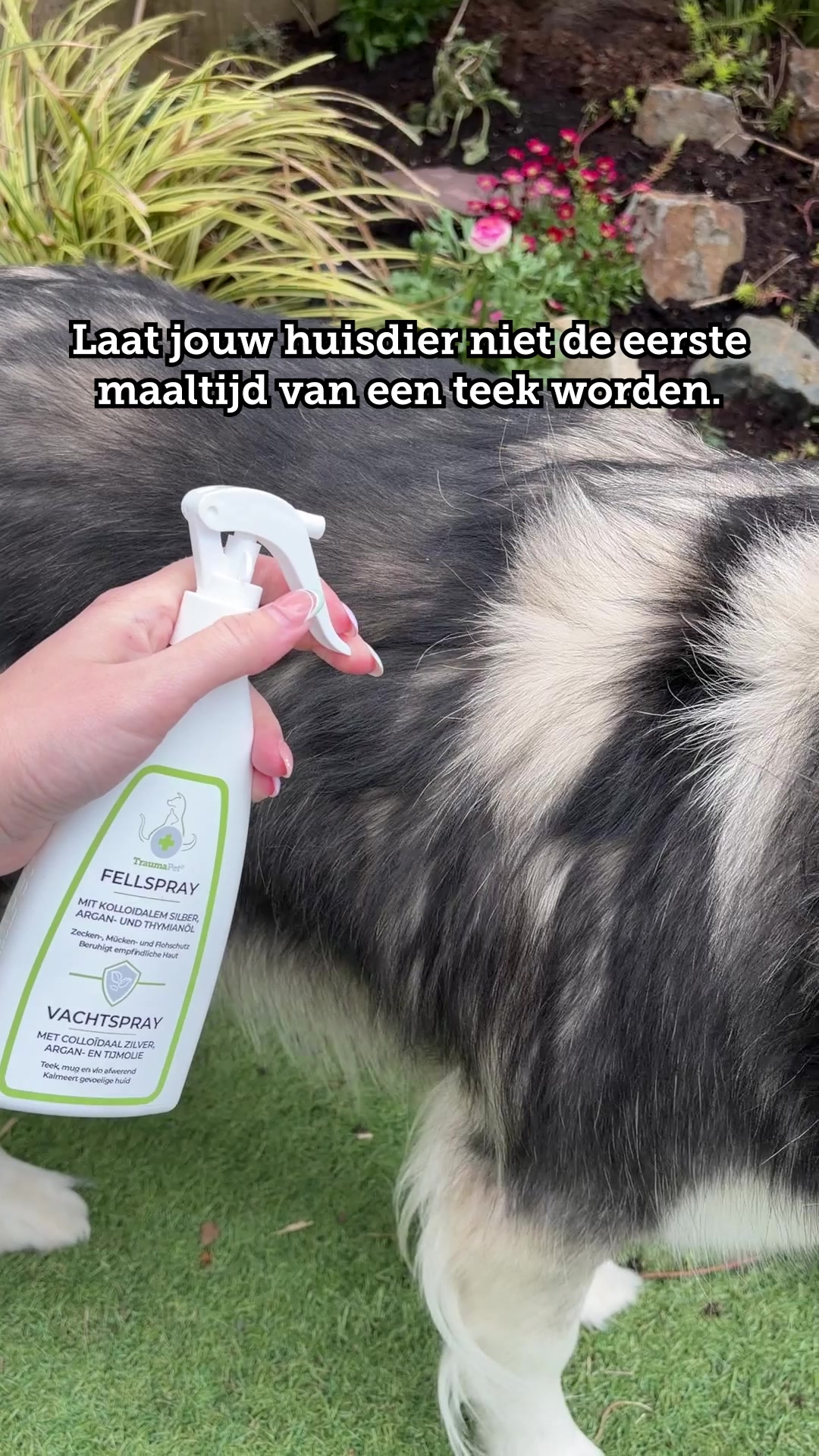 Effectieve gebitsverzorging voor je huisdier
