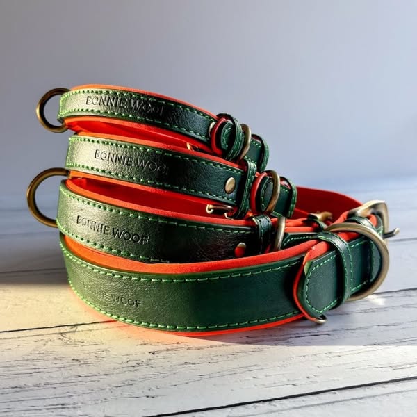 Barnaby Classic Collar
