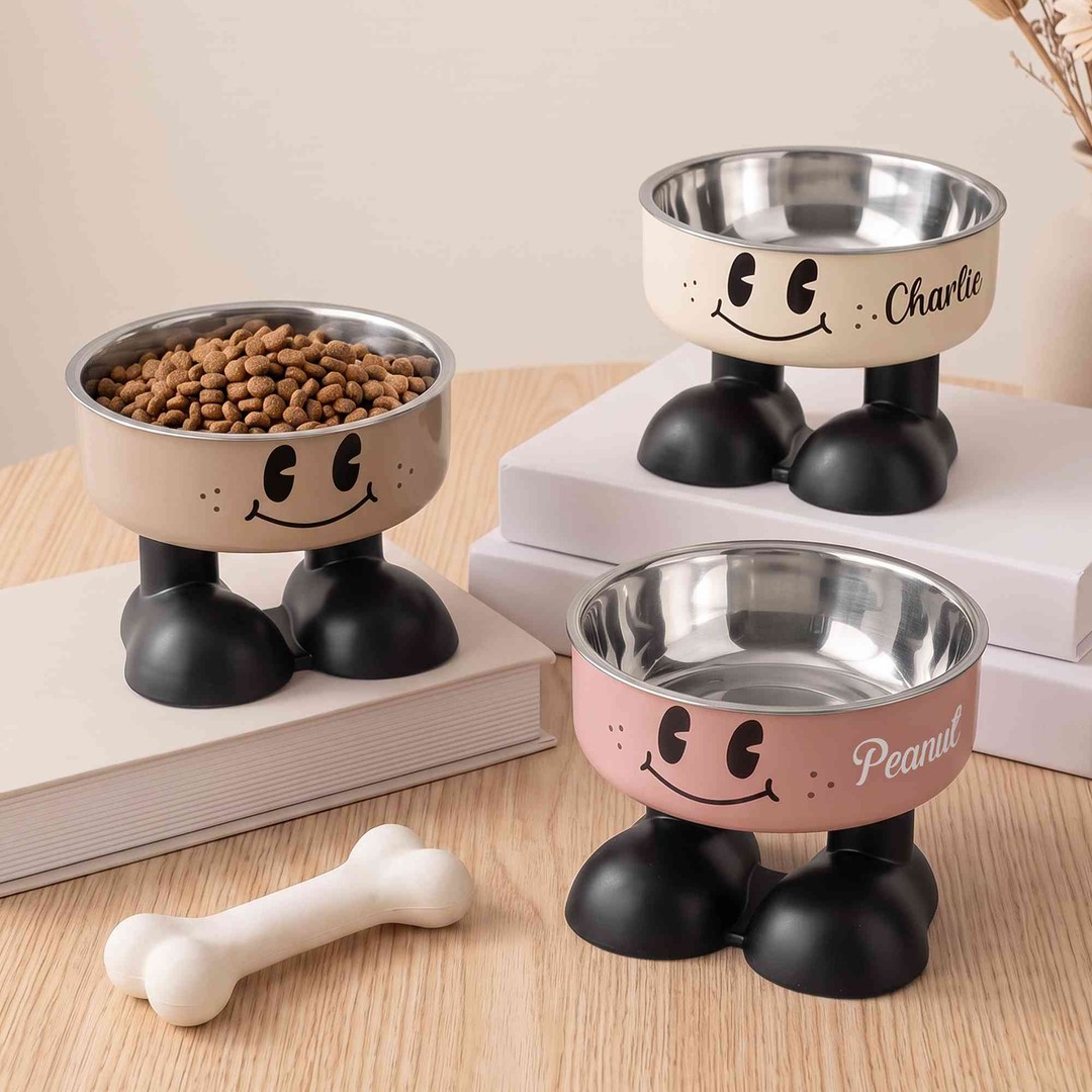Custom Cartoon Elevated Pet Bowl with Name, Dog/Cat Food & Water Feeder Holder, Raised Neck Protection, Birthday Gift for Pet Lovers/Owners/