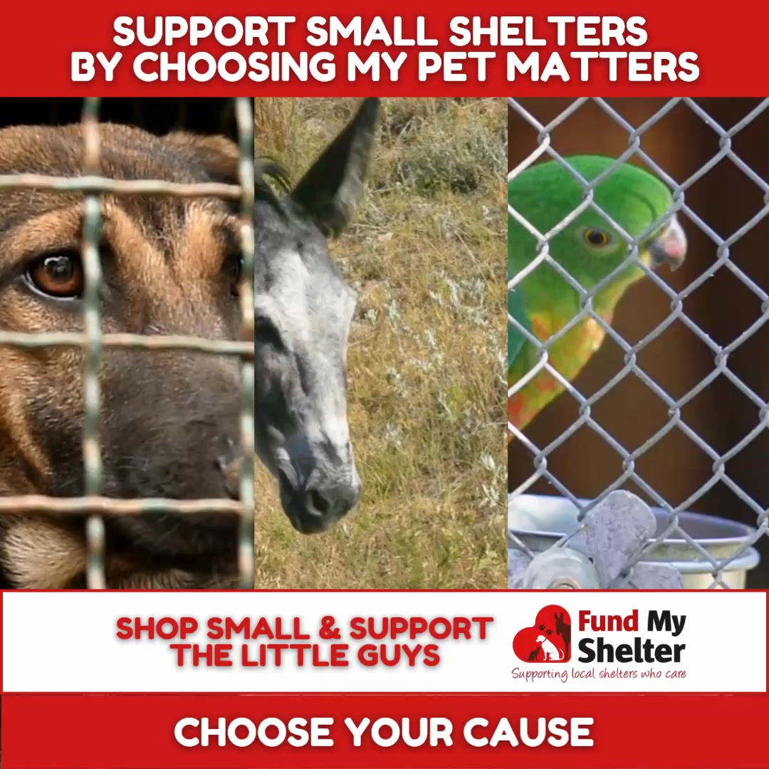 Choose your cause
