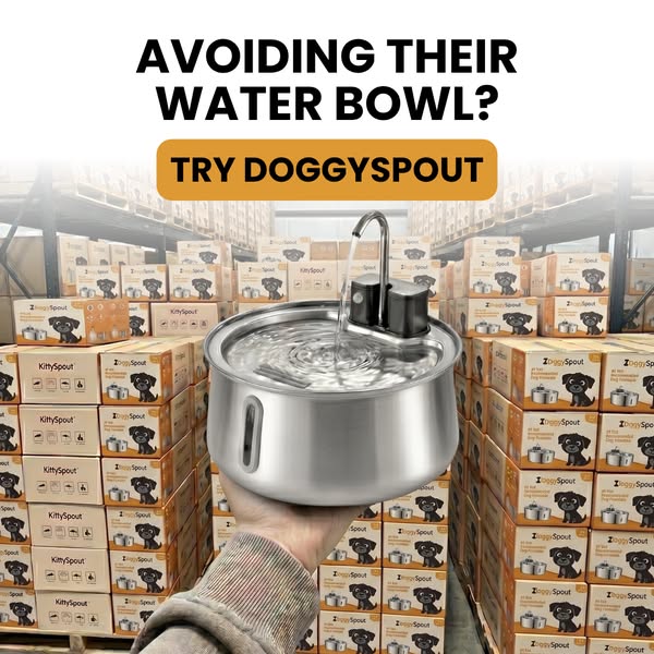 The #1 Vet-recommended Dog Fountain