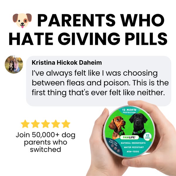 Provide a bug-free life for your pet