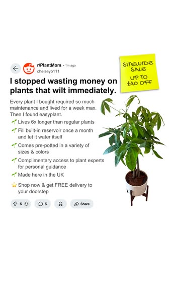 Try Self-Watering Plants