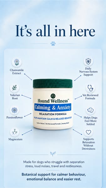 Complete Daily Calming Support