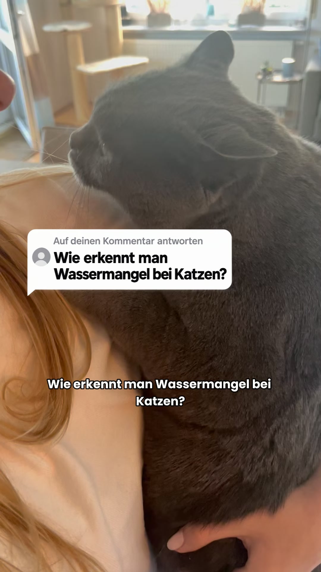 Nicht das Wasser ist das Problem, sondern der Napf.