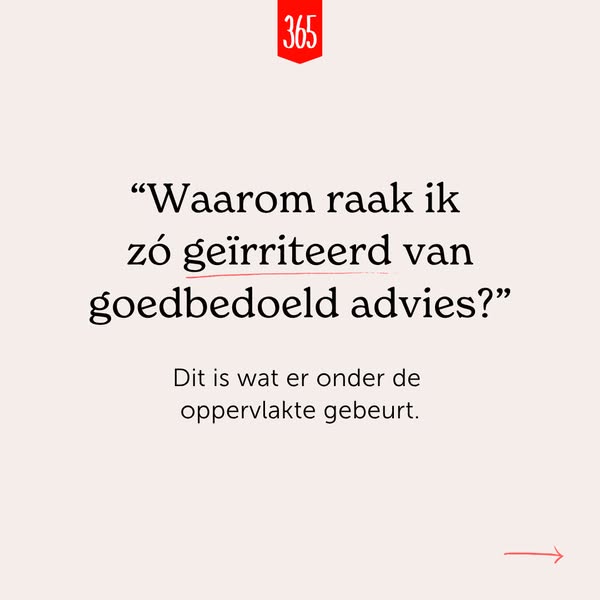 365 Dagen Succesvol