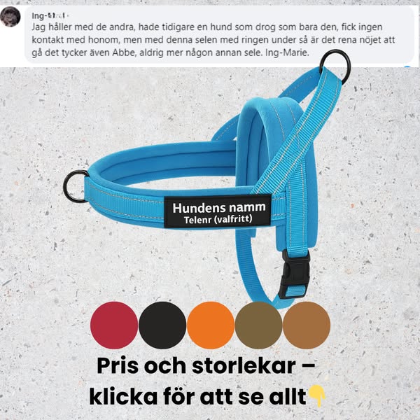 Hundsele med antidrag