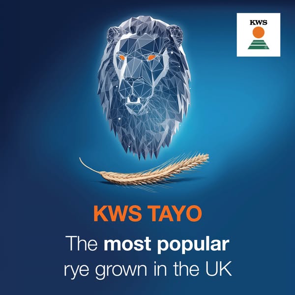 KWS Tayo