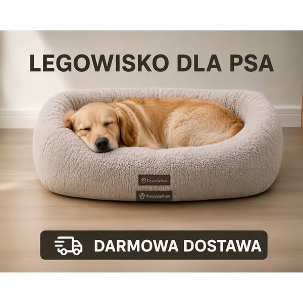 Każdy pies zasługuje na swoje miejsce