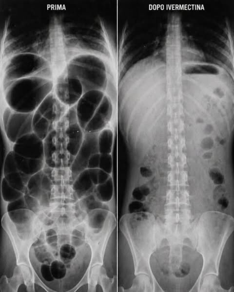 Ripristina il Tuo Corpo. Sentiti Meglio Oggi.