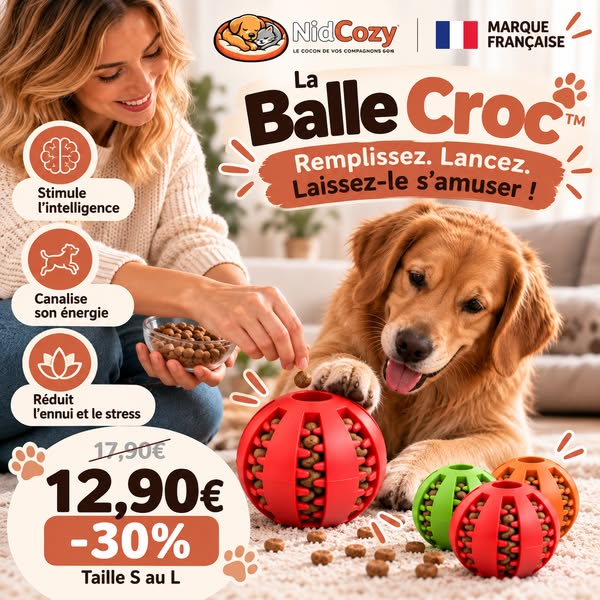 Offre limitée : Jusqu'à -30%