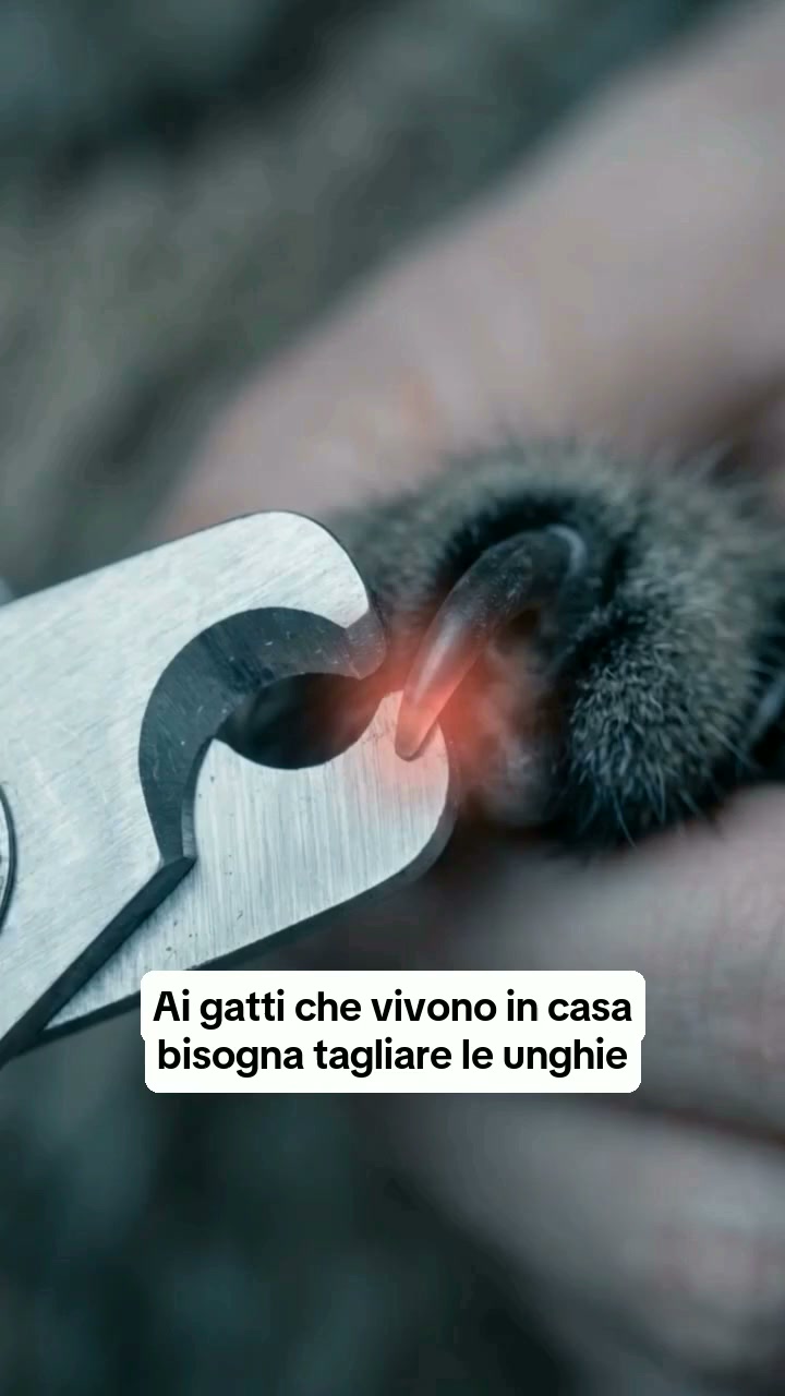 Oltre 2.500 pezzi venduti
