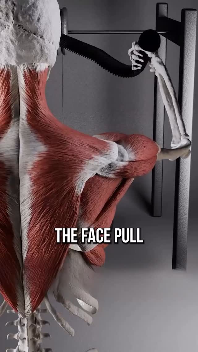 You’re Doing Face Pulls Wrong (And It’s Hurting Your Shoulders)