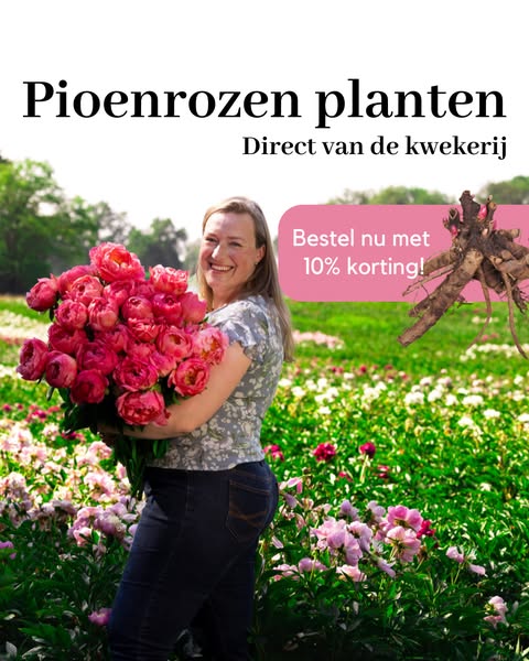 Shop nu met 10% korting!