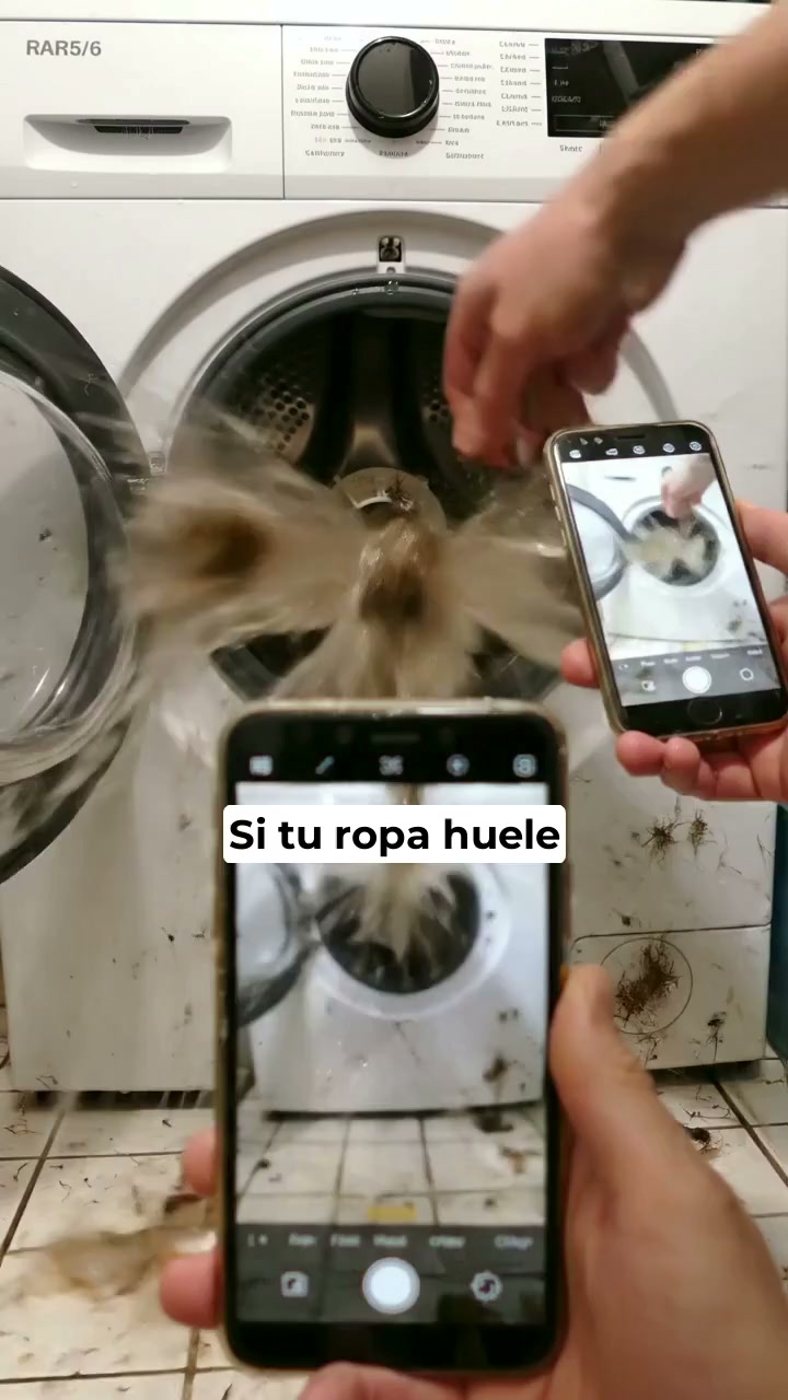 Descubre Purecycle