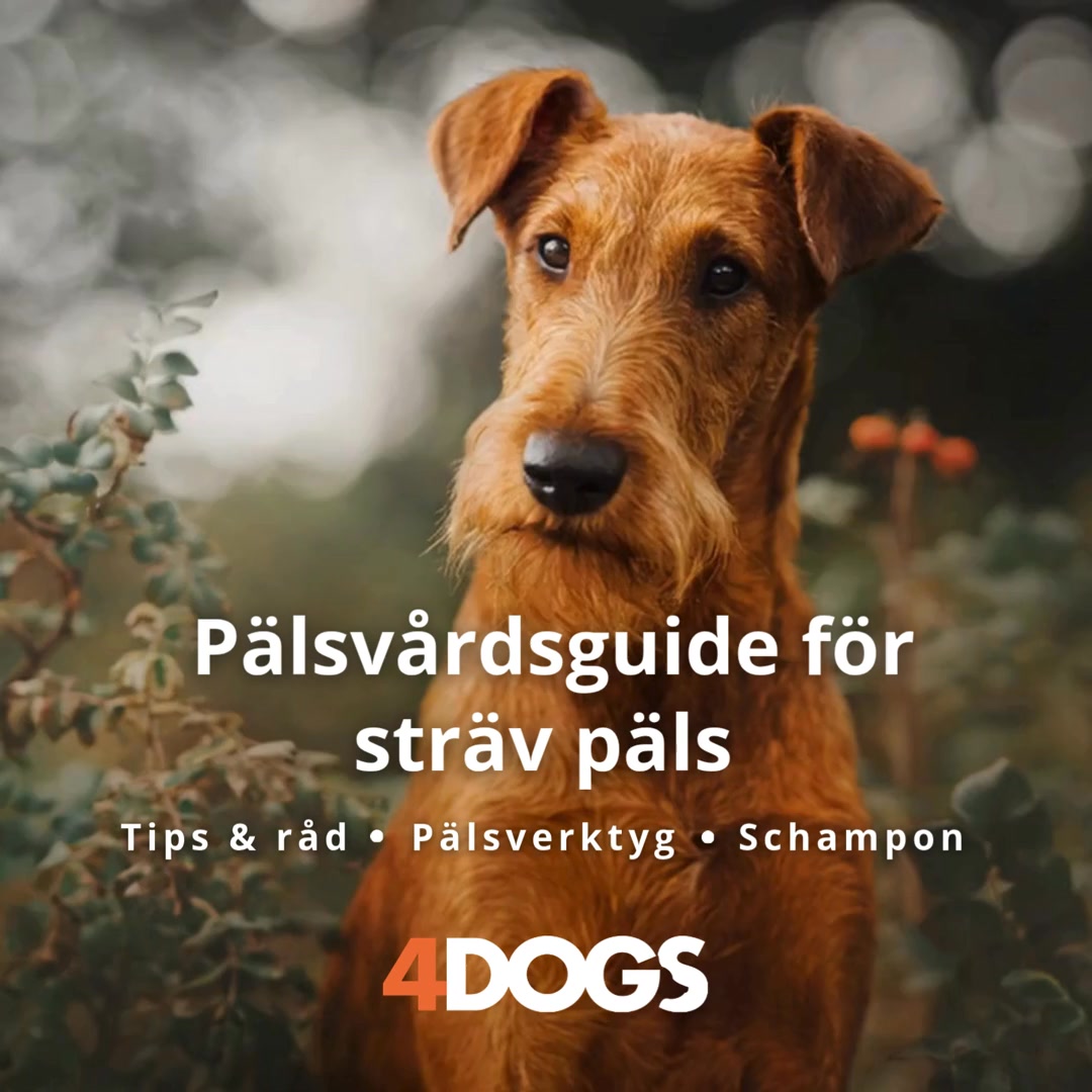 Upptäck våra 3 bästa tips
