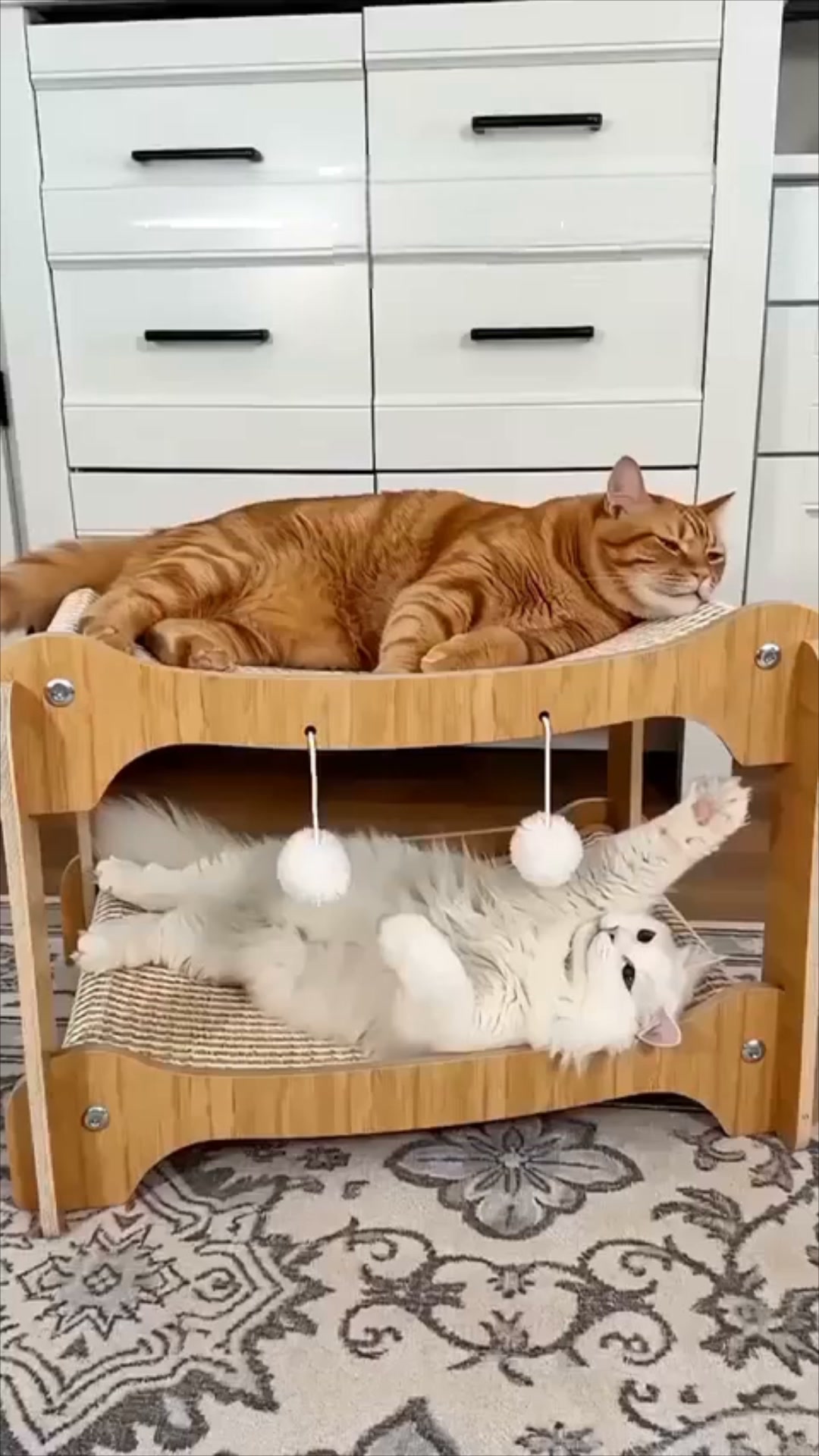 #1 Katzenliege