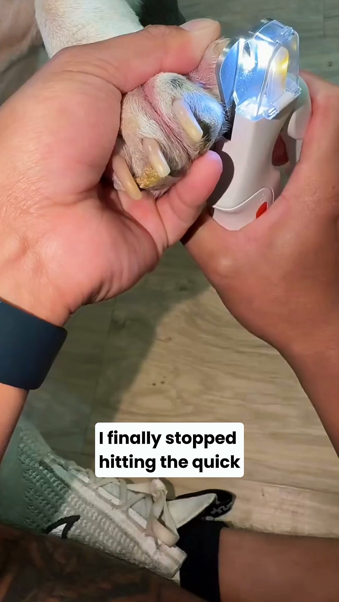 NailHero - See The Quick Before You Cut!