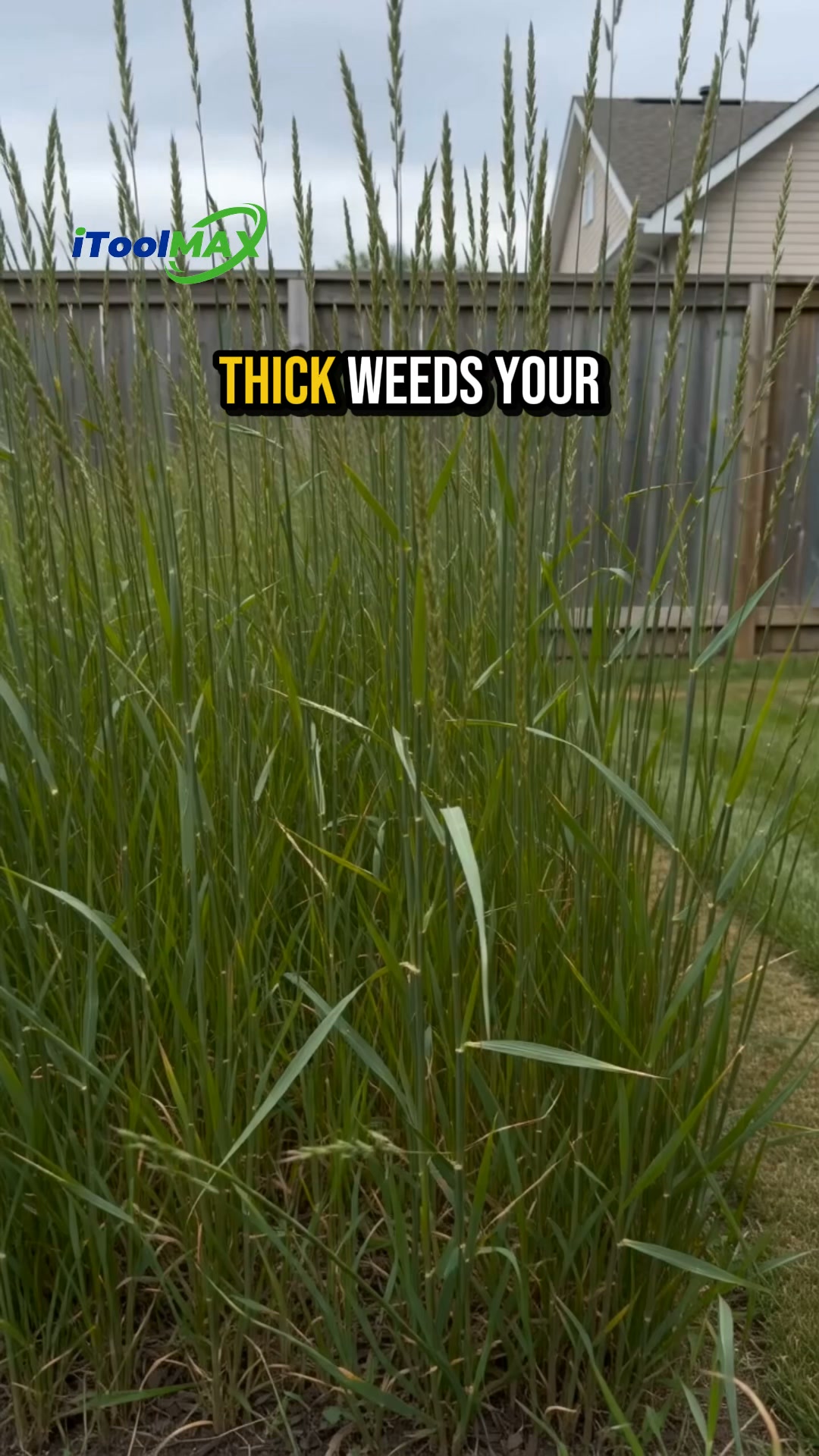 41% OFF – Conquer Stubborn Weeds Fast