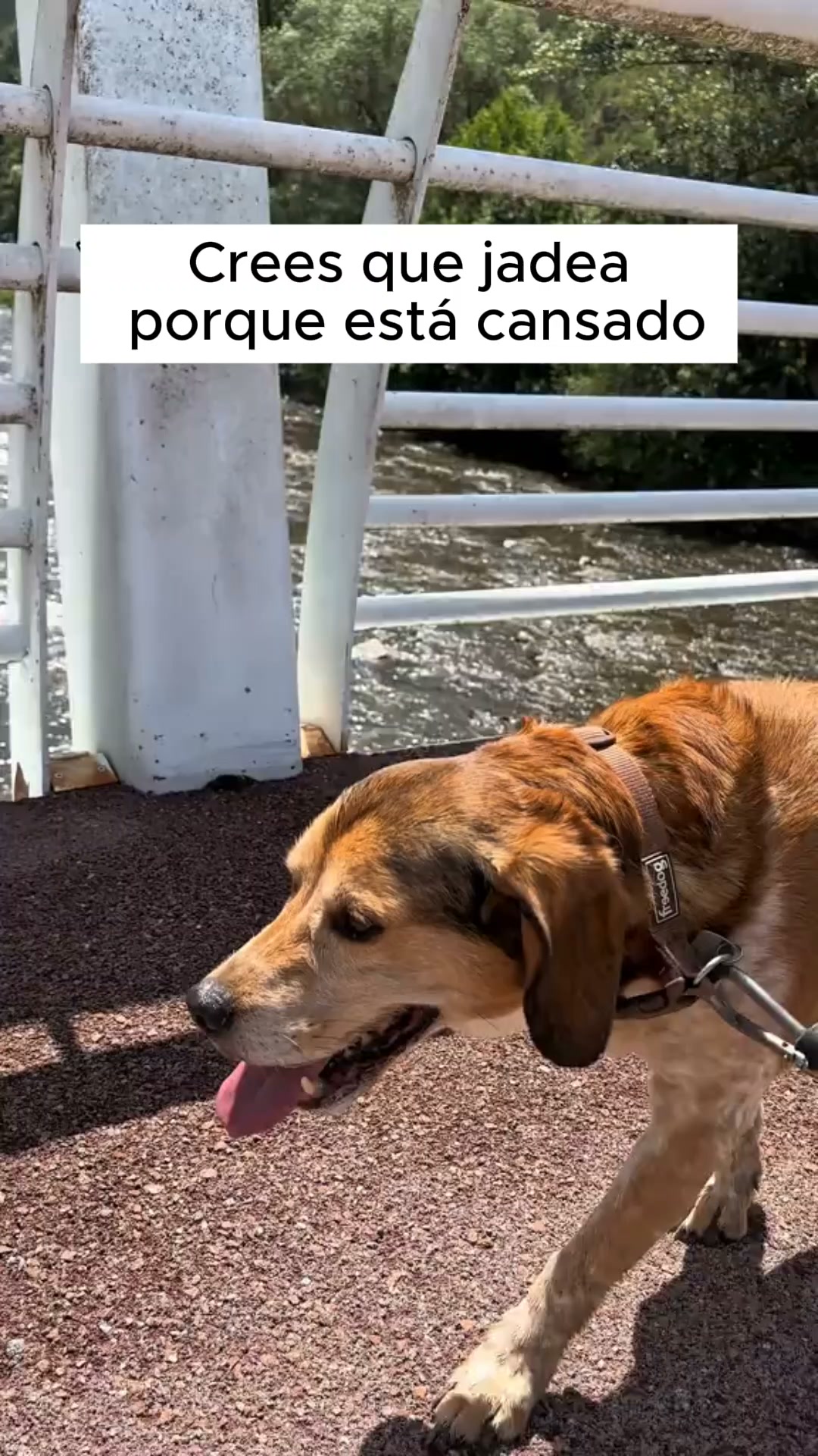 Dale su rincón fresco este verano