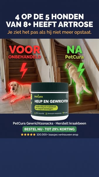 Stop de gewrichtspijn van je hond