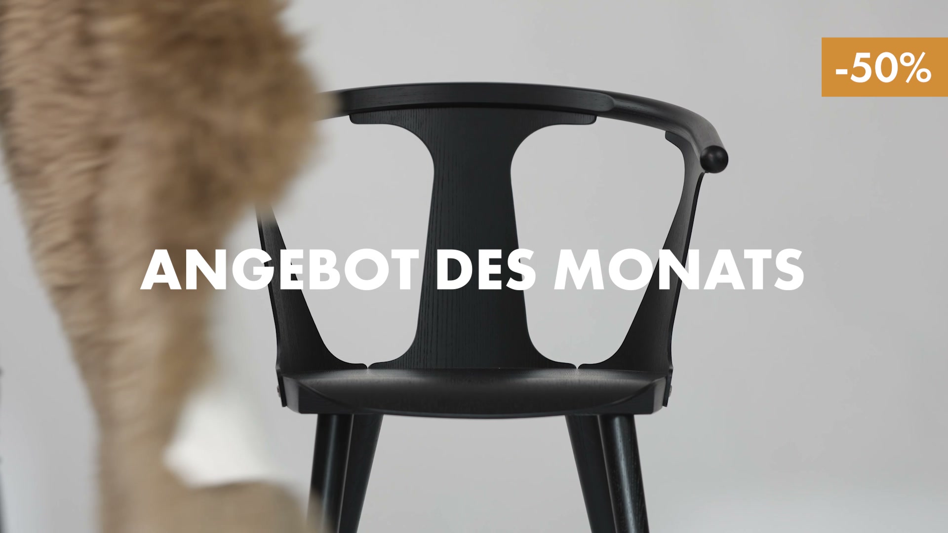 Angebot des Monats -50% Rabatt