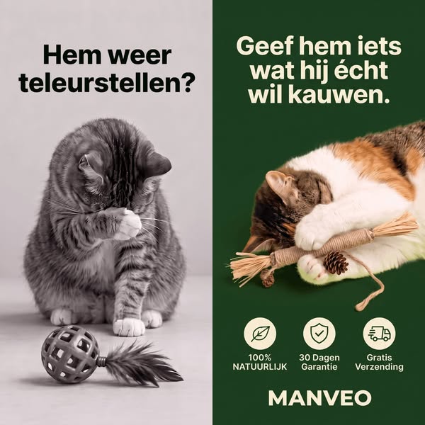 Geef jouw kat de zorg die hij echt verdient