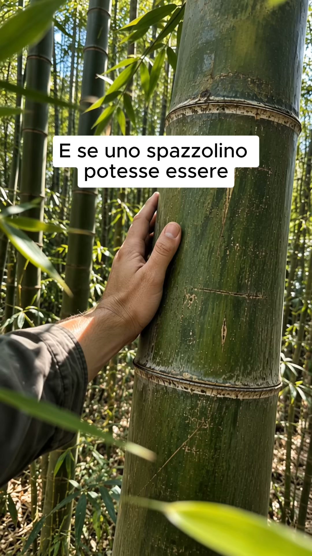 Il primo spazzolino italiano 100% NATURALE