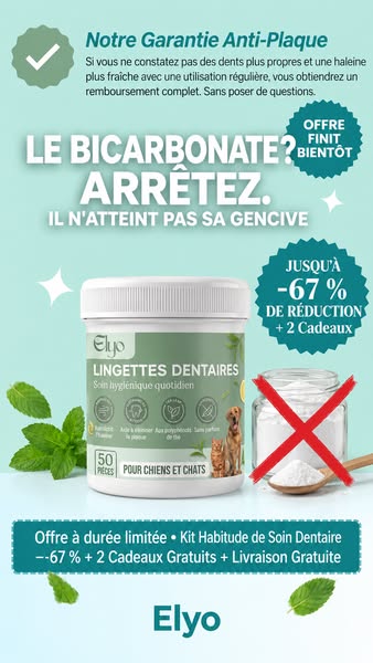Offrez à votre chien une vie plus saine et plus heureuse