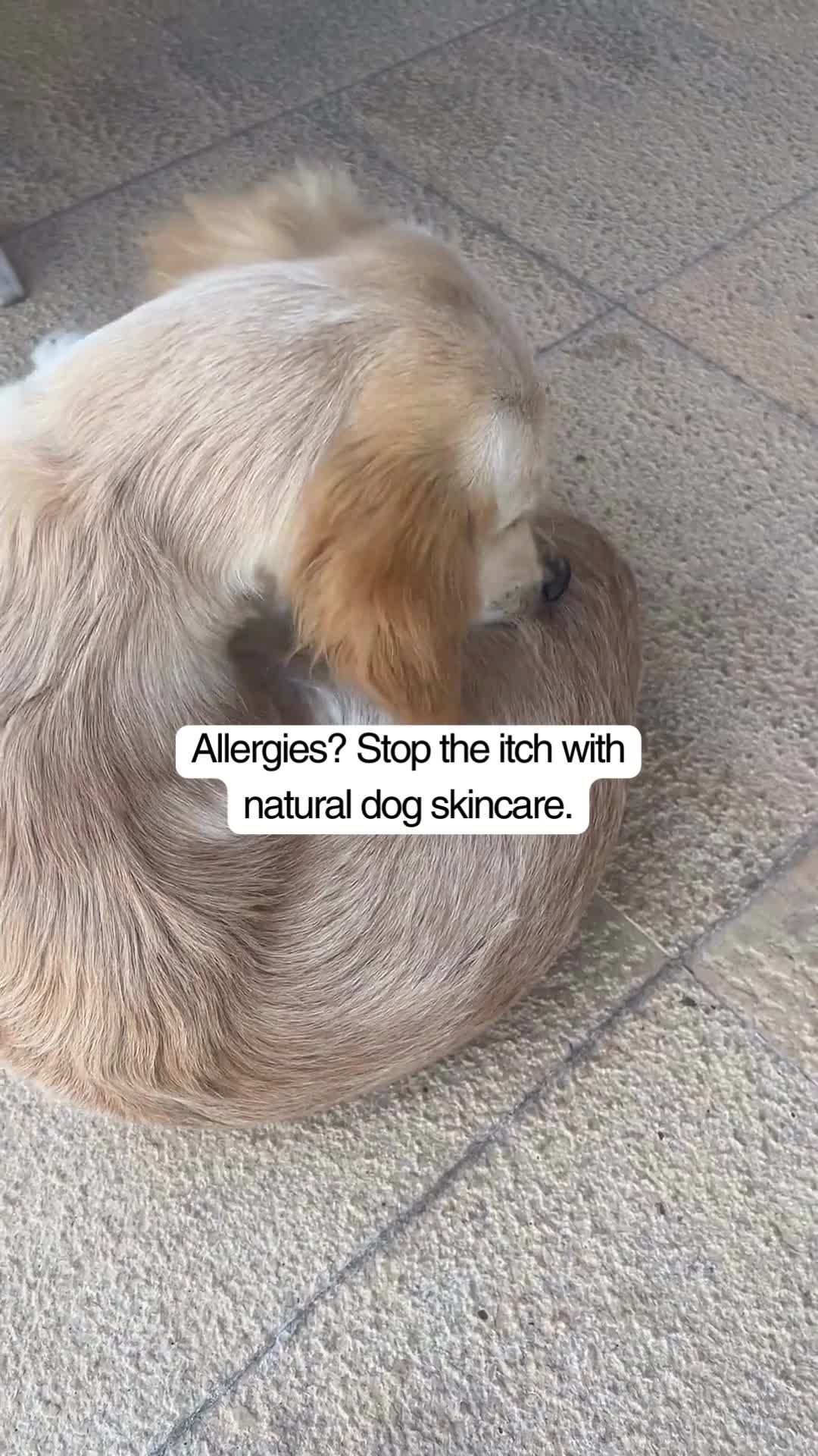 Is your dog dealing with sores or hot spots?