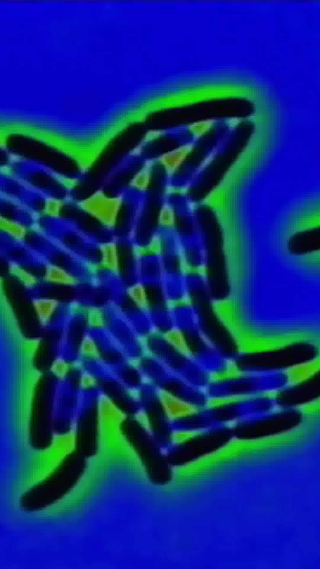 ★★★★★