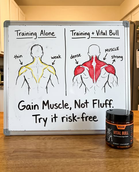 Gain Muscle, Not Fluff