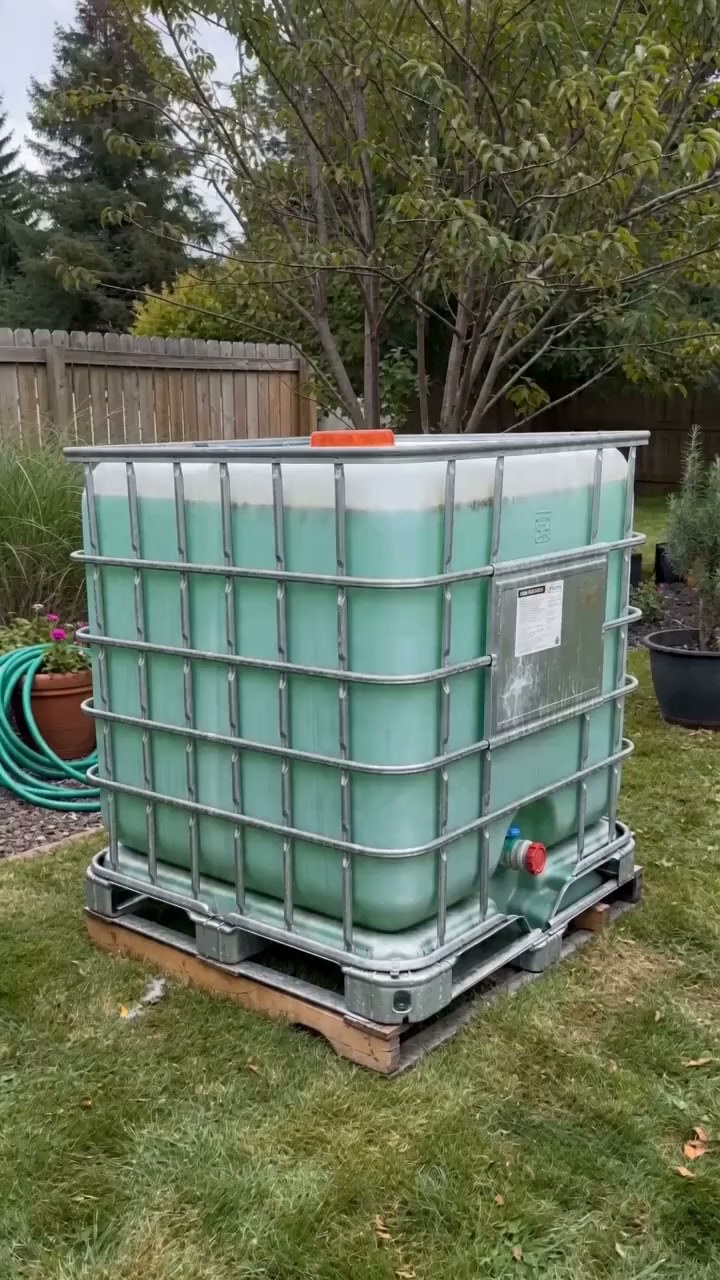 Stop Your IBC Tote From Turning Green