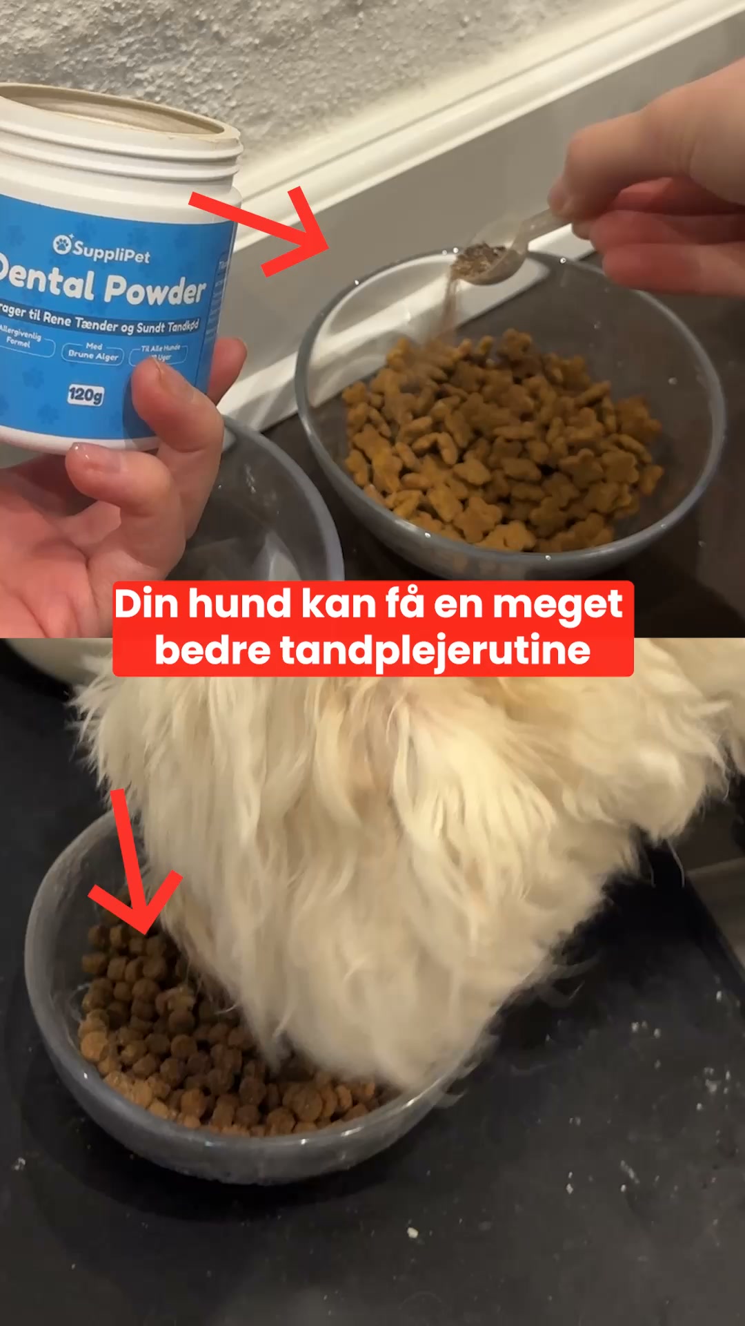 Støt Din Hunds Tænder og Tandkød