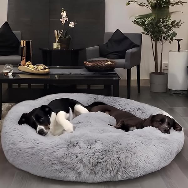 Dein Großer verdient dieses 4XL-Bett