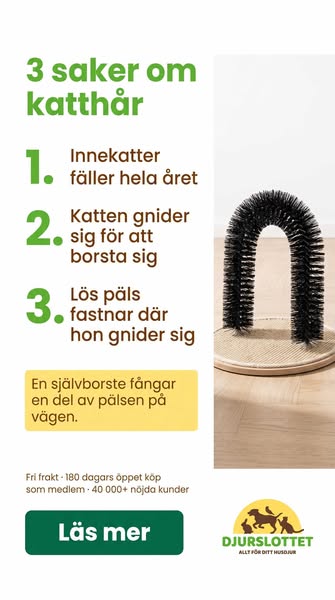 Därför hamnar katthåren på samma ställe