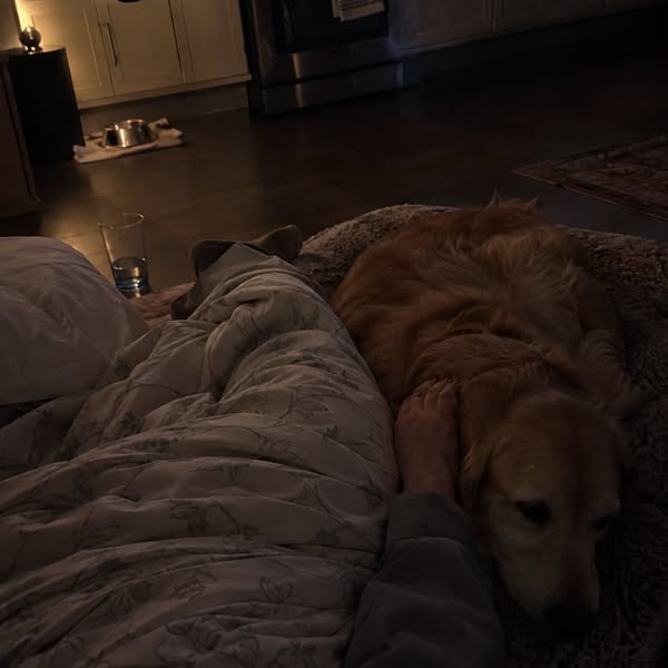 Why I Cancelled My Dog's $7,200 Knee Surgery