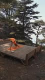 Loved by Yogis Worldwide
