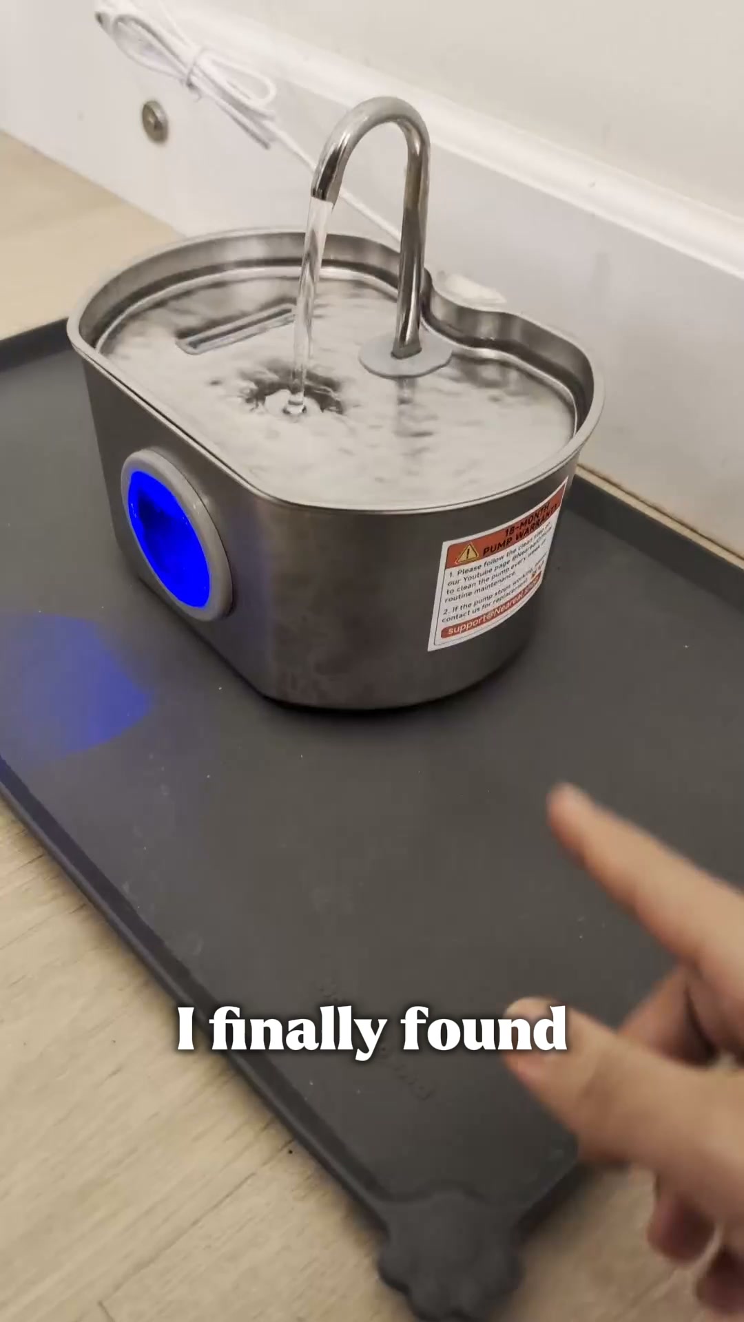 Help Your Cat Drink More